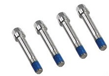 Kodiak stainless steel caliper bolts.